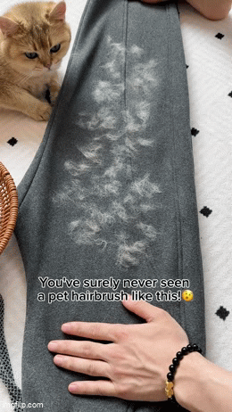 Zenaro™ Pet Hair Remover Glove